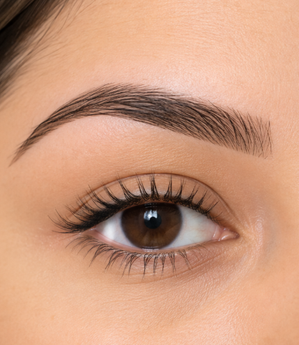 Dummy after brow shaping example